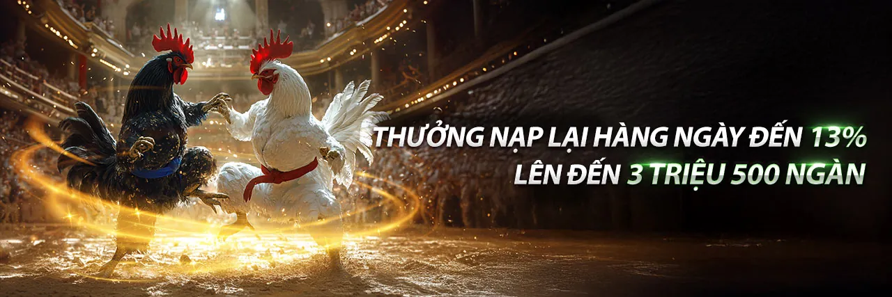 Đấu trường đá gà trực tuyến sôi động tại red88 login